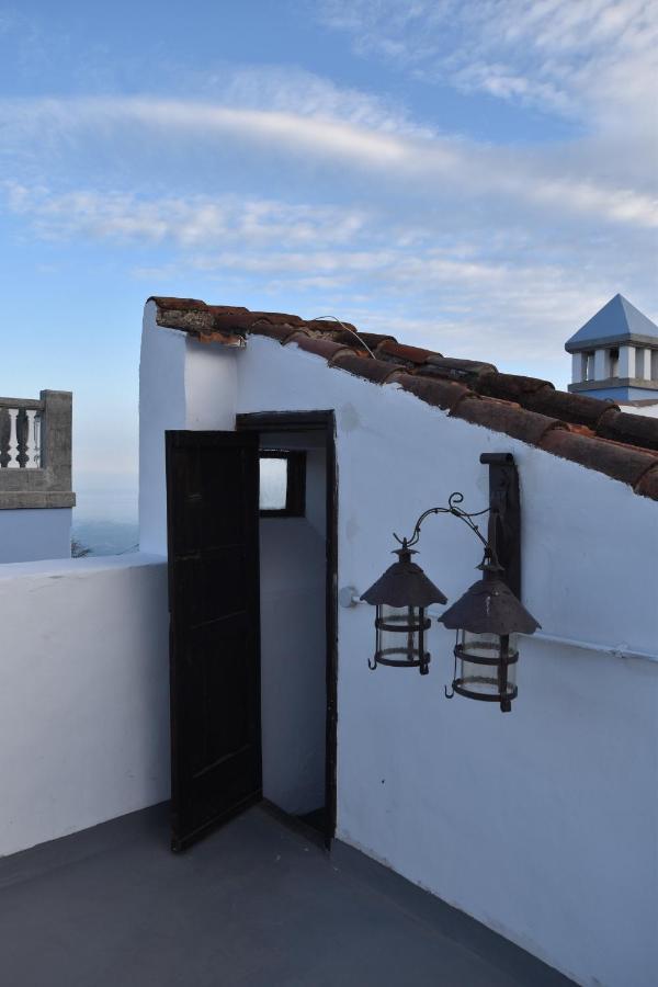 Gato Azul - Coliving Hotel La Orotava Exterior foto
